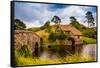 The Mill, Hobbiton, North Island, New Zealand, Pacific-Laura Grier-Framed Stretched Canvas