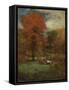 The Mill Pond, 1889-George Inness Snr.-Framed Stretched Canvas