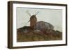 The Mill-Odilon Redon-Framed Giclee Print