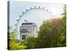 The Millennium Wheel View - UK Landscape - London - UK - England - United Kingdom - Europe-Philippe Hugonnard-Stretched Canvas