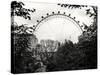 The Millennium Wheel View - UK Landscape - London - UK - England - United Kingdom - Europe-Philippe Hugonnard-Stretched Canvas