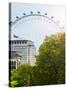 The Millennium Wheel View - UK Landscape - London - UK - England - United Kingdom - Europe-Philippe Hugonnard-Stretched Canvas