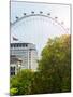 The Millennium Wheel View - UK Landscape - London - UK - England - United Kingdom - Europe-Philippe Hugonnard-Mounted Photographic Print