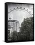 The Millennium Wheel View - UK Landscape - London - UK - England - United Kingdom - Europe-Philippe Hugonnard-Framed Stretched Canvas