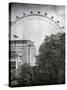 The Millennium Wheel View - UK Landscape - London - UK - England - United Kingdom - Europe-Philippe Hugonnard-Stretched Canvas