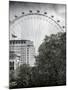 The Millennium Wheel View - UK Landscape - London - UK - England - United Kingdom - Europe-Philippe Hugonnard-Mounted Photographic Print