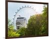 The Millennium Wheel View - UK Landscape - London - UK - England - United Kingdom - Europe-Philippe Hugonnard-Framed Art Print