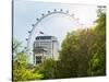 The Millennium Wheel View - UK Landscape - London - UK - England - United Kingdom - Europe-Philippe Hugonnard-Stretched Canvas