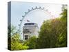 The Millennium Wheel View - UK Landscape - London - UK - England - United Kingdom - Europe-Philippe Hugonnard-Stretched Canvas