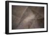 The Mindful Curve-Doug Chinnery-Framed Photographic Print