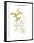 The Minimalist Garden I-June Vess-Framed Art Print