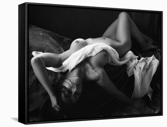 The Miracle of Silver Halides-Wunderskatz-Framed Stretched Canvas
