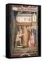 The Miracle of St. Stanislas from the Lower Church, circa 1340-P. Capanna-Framed Stretched Canvas