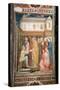 The Miracle of St. Stanislas from the Lower Church, circa 1340-P. Capanna-Stretched Canvas