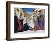 The Miracle of St. Zenobius, 1442-48-Domenico Veneziano-Framed Giclee Print