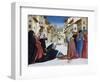 The Miracle of St. Zenobius, 1442-48-Domenico Veneziano-Framed Giclee Print