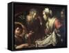 The Miracle of St. Zita-Bernardo Strozzi-Framed Stretched Canvas