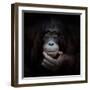 The Mirror Image-Antje Wenner-Braun-Framed Photographic Print