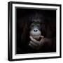 The Mirror Image-Antje Wenner-Braun-Framed Photographic Print