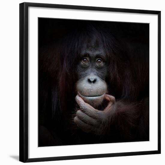 The Mirror Image-Antje Wenner-Braun-Framed Photographic Print