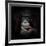 The Mirror Image-Antje Wenner-Braun-Framed Photographic Print