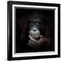 The Mirror Image-Antje Wenner-Braun-Framed Photographic Print