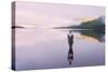 The Mirror Man, Loch Earn, Highlands, Scotland, United Kingdom, Europe-Karen Deakin-Stretched Canvas