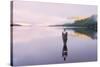 The Mirror Man, Loch Earn, Highlands, Scotland, United Kingdom, Europe-Karen Deakin-Stretched Canvas