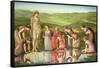 The Mirror of Venus-Edward Burne-Jones-Framed Stretched Canvas