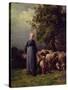 The Missing Flock-Charles Emile Jacque-Stretched Canvas