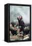 Canvas Black