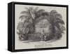 The Missionary's Tomb, Bimbia-null-Framed Stretched Canvas