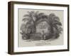 The Missionary's Tomb, Bimbia-null-Framed Giclee Print