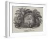 The Missionary's Tomb, Bimbia-null-Framed Giclee Print