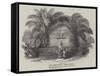 The Missionary's Tomb, Bimbia-null-Framed Stretched Canvas