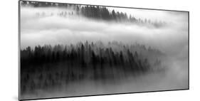 The Mist B+W-Bjorn Wennerwald-Mounted Giclee Print