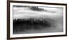 The Mist B+W-Bjorn Wennerwald-Framed Giclee Print