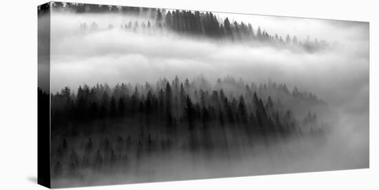 The Mist B+W-Bjorn Wennerwald-Stretched Canvas