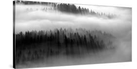 The Mist B+W-Bjorn Wennerwald-Stretched Canvas