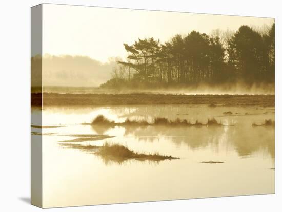 The Mist Rises over a Peaceful Dawn on the Marsh, Scarborough, Maine-Nance Trueworthy-Stretched Canvas