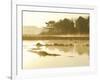 The Mist Rises over a Peaceful Dawn on the Marsh, Scarborough, Maine-Nance Trueworthy-Framed Photographic Print