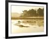 The Mist Rises over a Peaceful Dawn on the Marsh, Scarborough, Maine-Nance Trueworthy-Framed Photographic Print