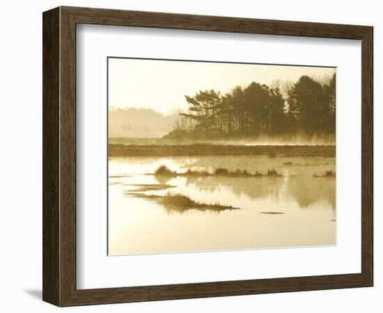 The Mist Rises over a Peaceful Dawn on the Marsh, Scarborough, Maine-Nance Trueworthy-Framed Photographic Print