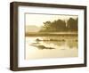 The Mist Rises over a Peaceful Dawn on the Marsh, Scarborough, Maine-Nance Trueworthy-Framed Photographic Print