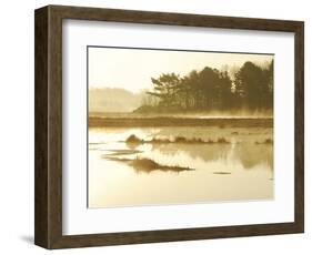 The Mist Rises over a Peaceful Dawn on the Marsh, Scarborough, Maine-Nance Trueworthy-Framed Photographic Print