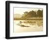 The Mist Rises over a Peaceful Dawn on the Marsh, Scarborough, Maine-Nance Trueworthy-Framed Photographic Print