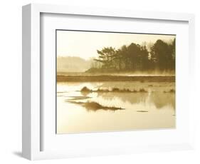 The Mist Rises over a Peaceful Dawn on the Marsh, Scarborough, Maine-Nance Trueworthy-Framed Photographic Print