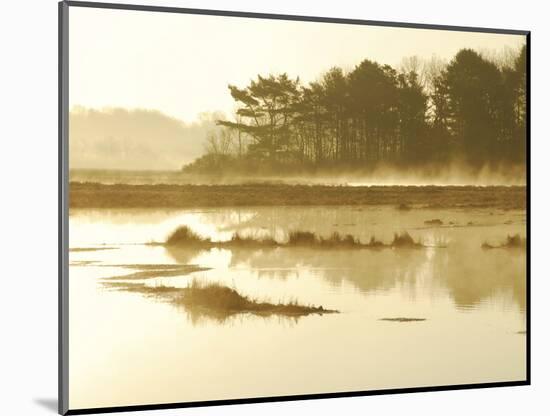 The Mist Rises over a Peaceful Dawn on the Marsh, Scarborough, Maine-Nance Trueworthy-Mounted Photographic Print