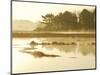 The Mist Rises over a Peaceful Dawn on the Marsh, Scarborough, Maine-Nance Trueworthy-Mounted Photographic Print