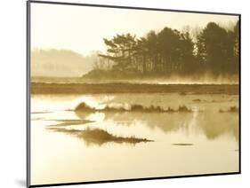 The Mist Rises over a Peaceful Dawn on the Marsh, Scarborough, Maine-Nance Trueworthy-Mounted Photographic Print